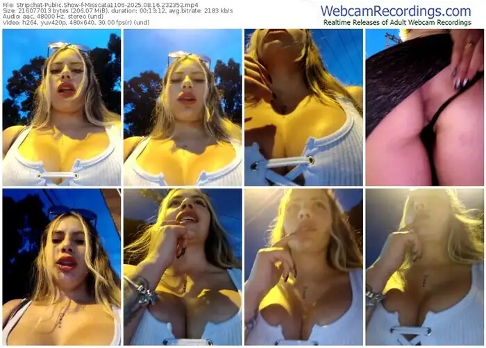 2025/08/16/stripchat-misscata1106-23-23-52