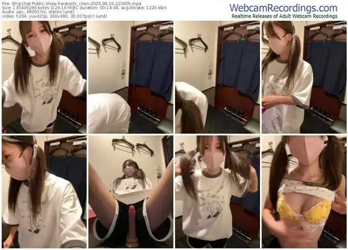 2025/08/16/stripchat-watashi_chan-22-38-05