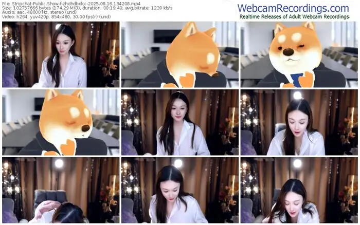 2025/08/16/stripchat-zhdhdbdkx-18-42-08