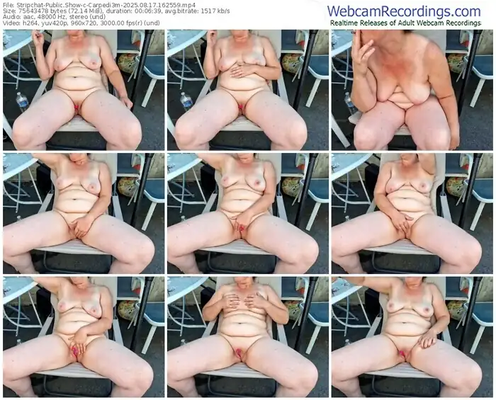 2025/08/17/stripchat-carpedi3m-16-25-59