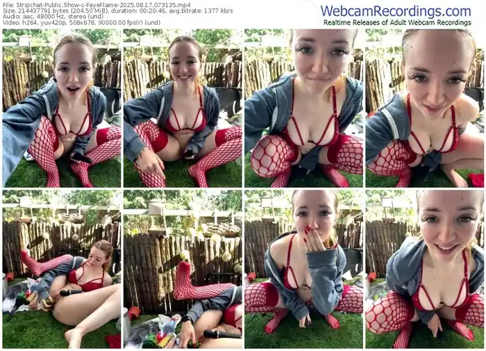 2025/08/17/stripchat-fayeflame-07-31-35