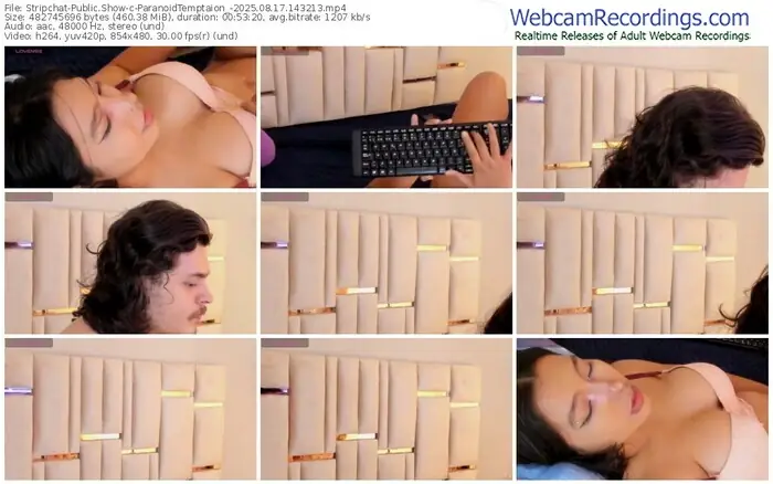 2025/08/17/stripchat-paranoidtemptaion_-14-32-13