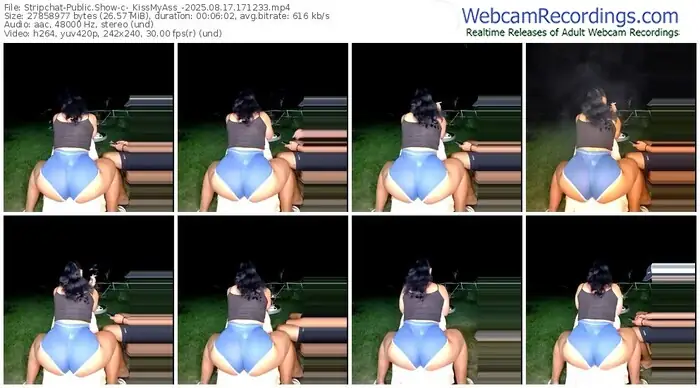 2025/08/17/stripchat-_kissmyass_-17-12-33