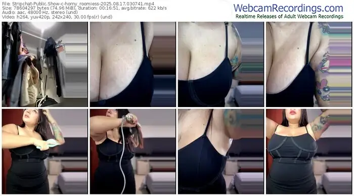 2025/08/17/stripchat-horny_roomiess-03-07-41