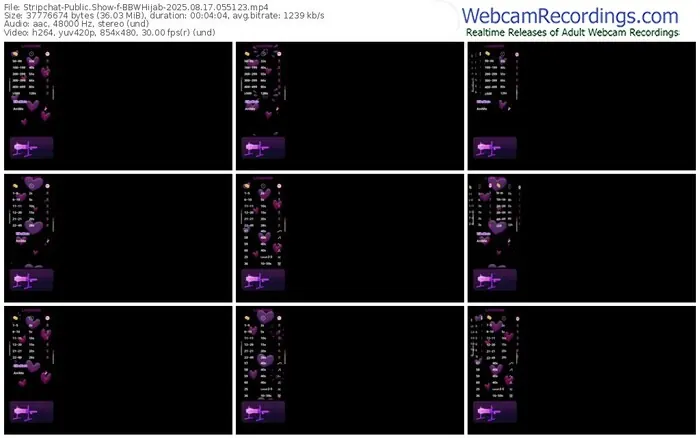 2025/08/17/stripchat-bbwhijab-05-51-23