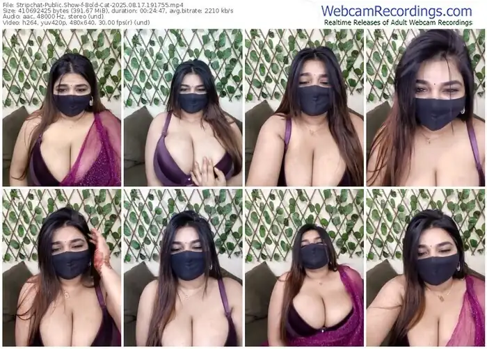 2025/08/17/stripchat-bold-cat-19-17-55
