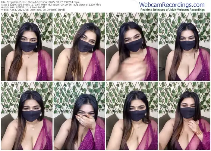 2025/08/17/stripchat-bold-cat-23-22-04