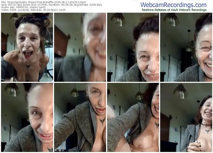 2025/08/17/stripchat-frozenwaffle-20-23-12