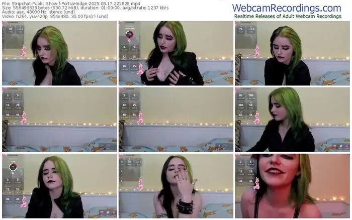 2025/08/17/stripchat-portiahedge-22-18-28