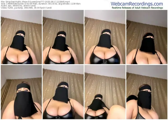 2025/08/17/stripchat-queendina777-22-28-45