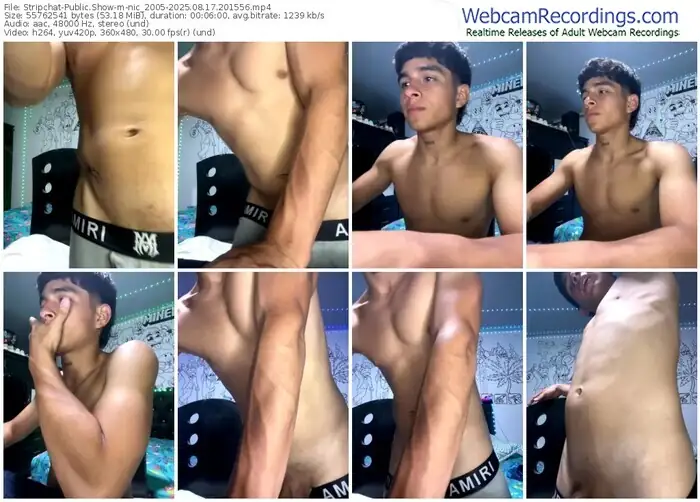 2025/08/17/stripchat-nic_2005-20-15-56