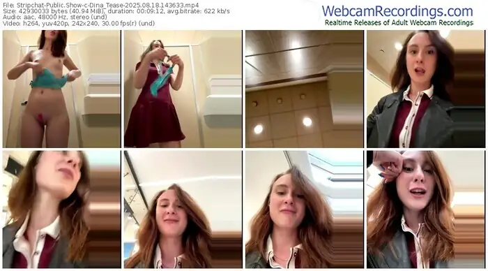 2025/08/18/stripchat-dina_tease-14-36-33