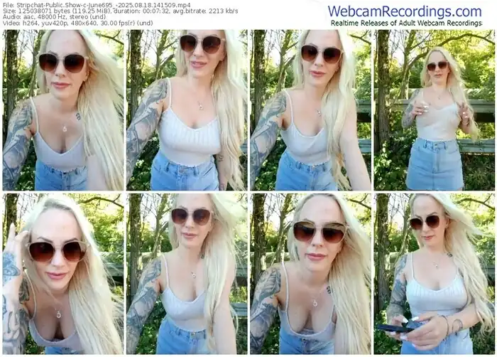 2025/08/18/stripchat-june695_-14-15-09