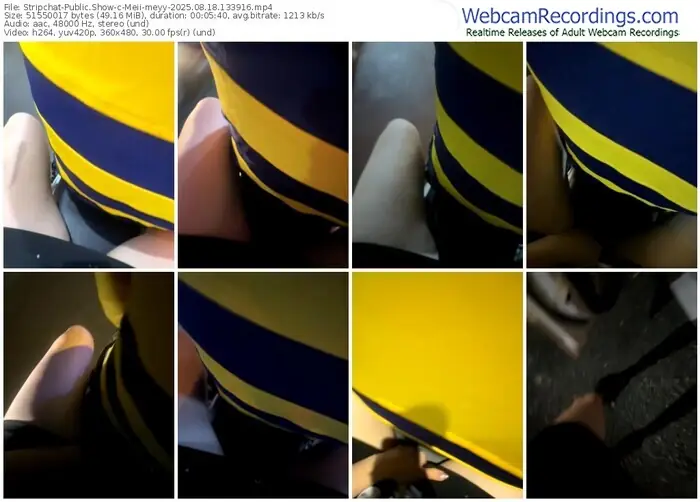 2025/08/18/stripchat-meii-meyy-13-39-16