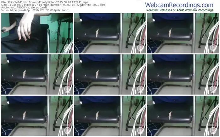 2025/08/18/stripchat-preetykitten-17-28-41