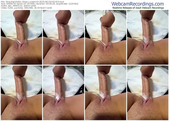 2025/08/18/stripchat-zasmin3-04-14-23