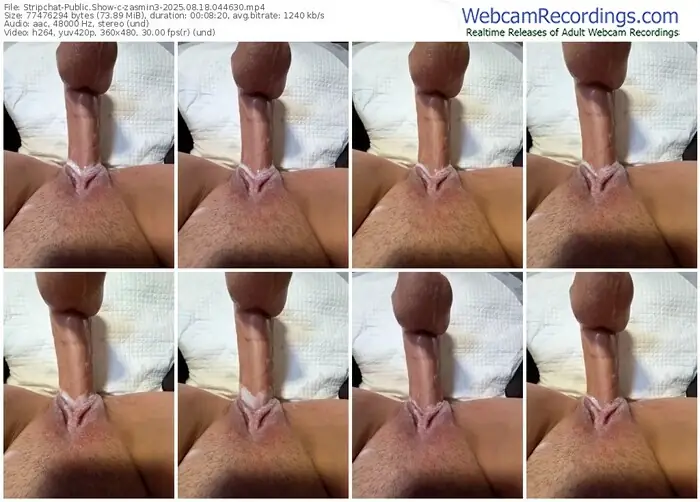 2025/08/18/stripchat-zasmin3-04-46-30