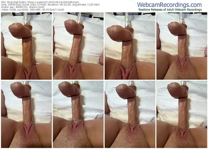 2025/08/18/stripchat-zasmin3-09-53-38