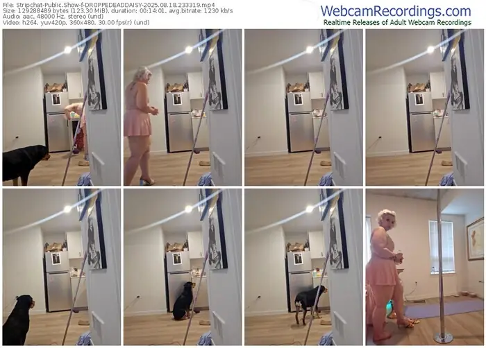 2025/08/18/stripchat-droppedeaddaisy-23-33-19