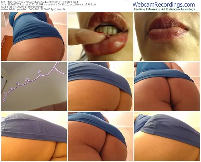 2025/08/18/stripchat-fanehot44-00-30-23