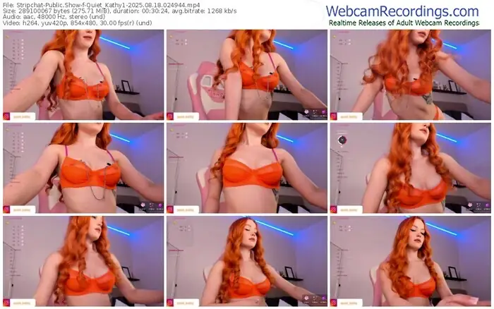 2025/08/18/stripchat-quiet_kathy1-02-49-44