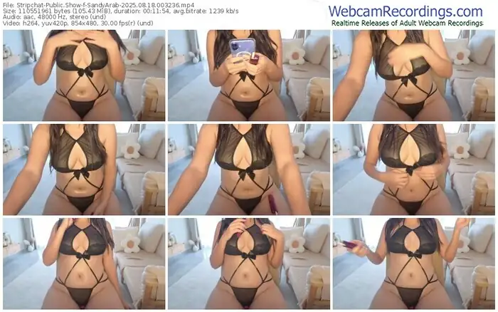 2025/08/18/stripchat-sandyarab-00-32-36