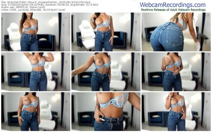 2025/08/18/stripchat-_missperfection_-02-11-50