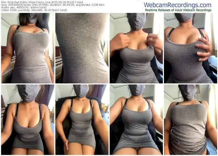 2025/08/18/stripchat-miss_lina-05-22-17