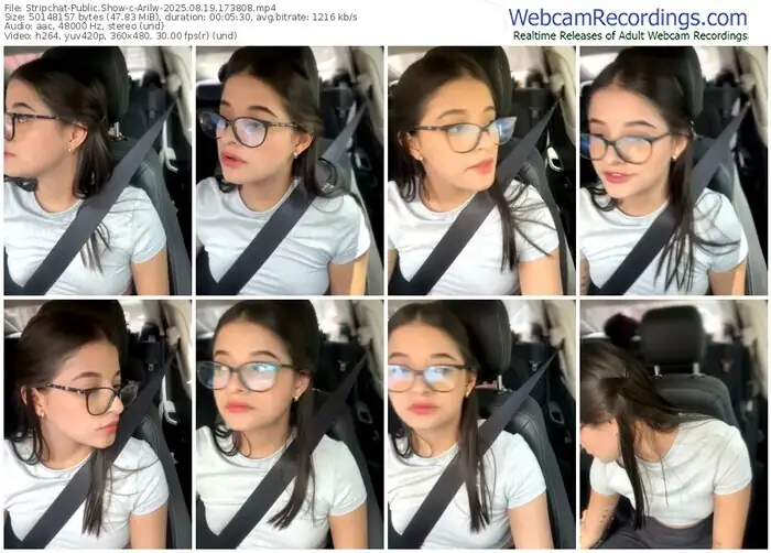 2025/08/19/stripchat-arilw-17-38-08