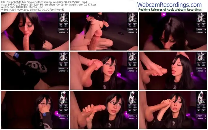 2025/08/19/stripchat-handsomepure-05-00-21