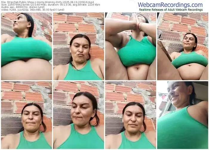 2025/08/19/stripchat-horny-mommy-dirty-22-09-16