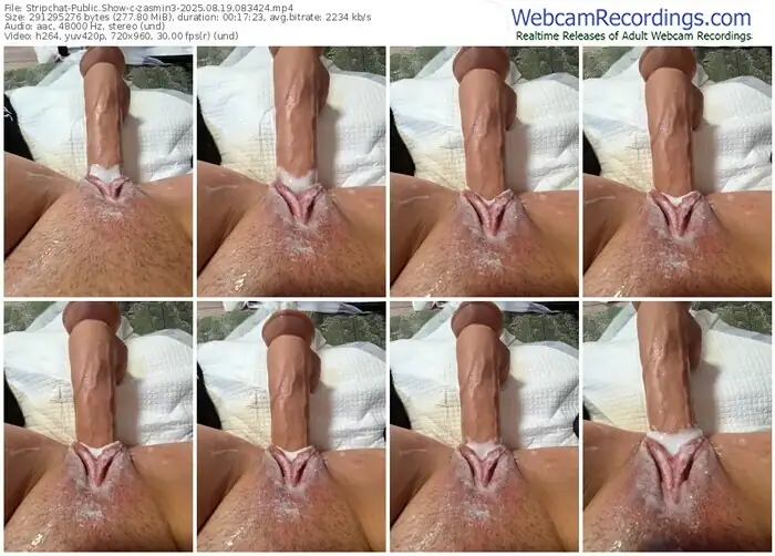 2025/08/19/stripchat-zasmin3-08-34-24