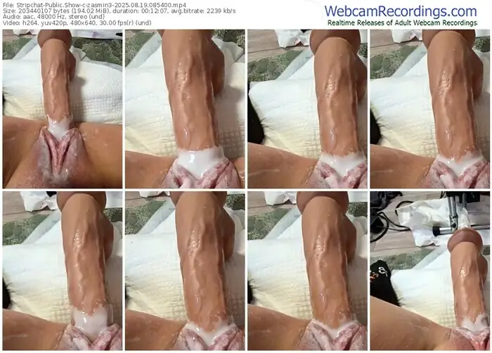 2025/08/19/stripchat-zasmin3-08-54-00