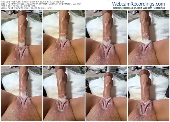 2025/08/19/stripchat-zasmin3-10-46-41