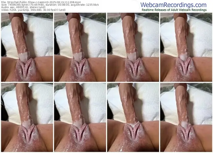 2025/08/19/stripchat-zasmin3-11-12-08