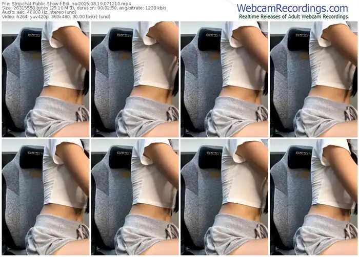 2025/08/19/stripchat-edi_na-07-12-10