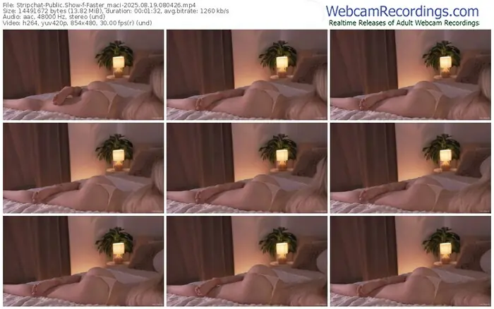 2025/08/19/stripchat-faster_maci-08-04-26