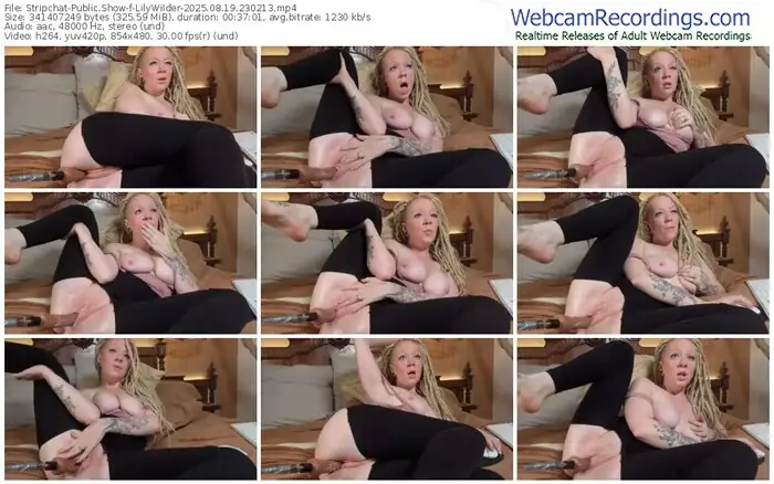 2025/08/19/stripchat-lilywilder-23-02-13