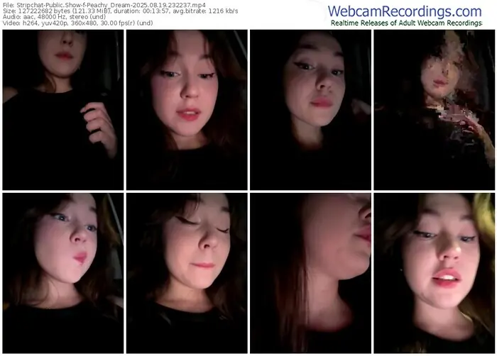2025/08/19/stripchat-peachy_dream-23-22-37