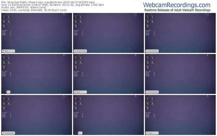 2025/08/19/stripchat-your_naughtytrans-04-25-56