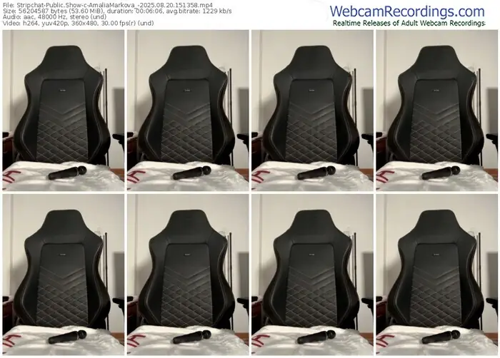 2025/08/20/stripchat-amaliamarkova_-15-13-58