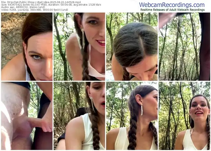 2025/08/20/stripchat-bad_idea-14-45-28