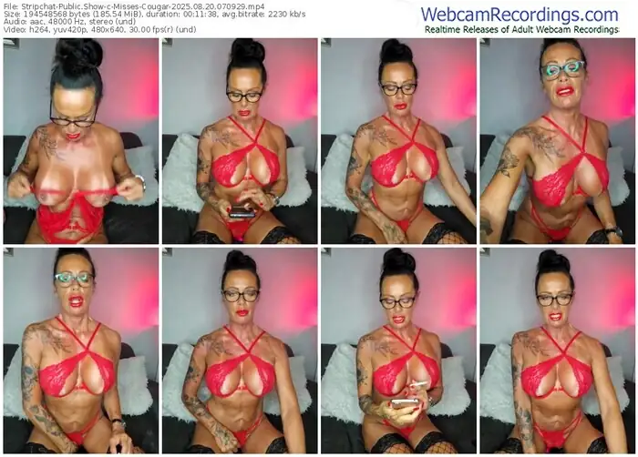 2025/08/20/stripchat-misses-cougar-07-09-29