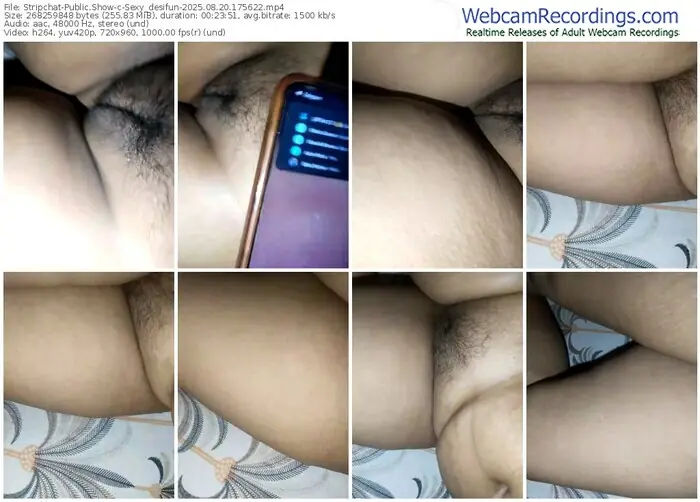 2025/08/20/stripchat-sexy_desifun-17-56-22