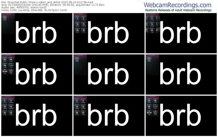 2025/08/20/stripchat-valen_and_dollar-01-27-38