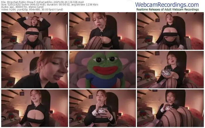 2025/08/20/stripchat--sofiacastillo--13-13-28