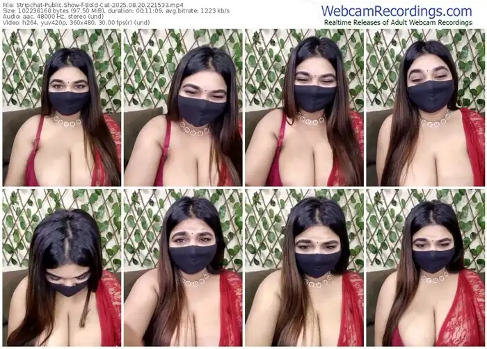 2025/08/20/stripchat-bold-cat-22-15-33