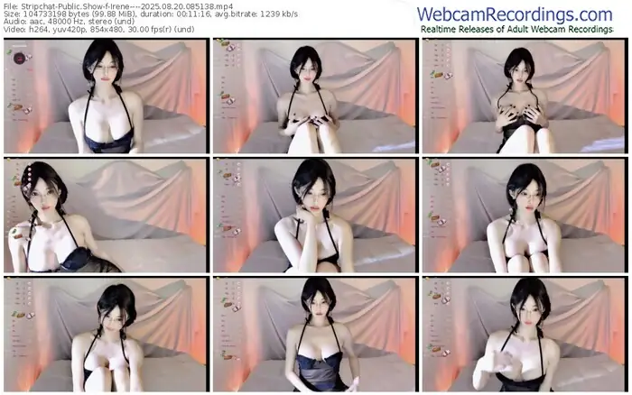 2025/08/20/stripchat-irene----08-51-38