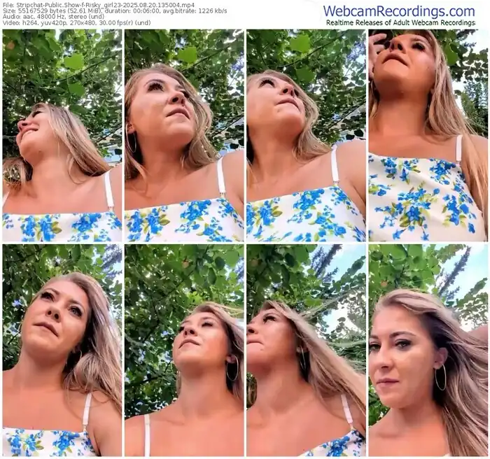 2025/08/20/stripchat-risky_girl23-13-50-04