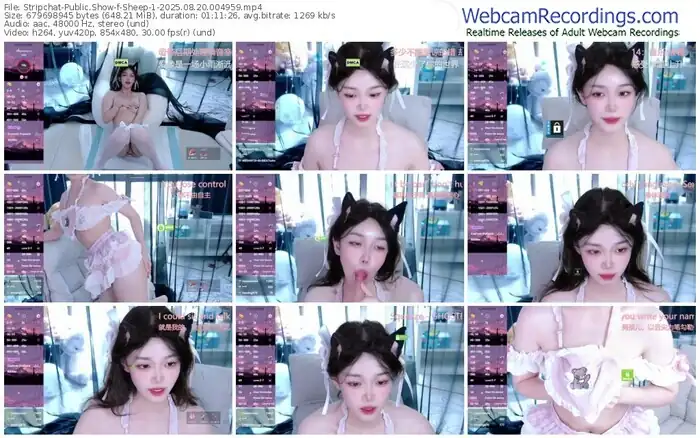 2025/08/20/stripchat-sheep-1-00-49-59